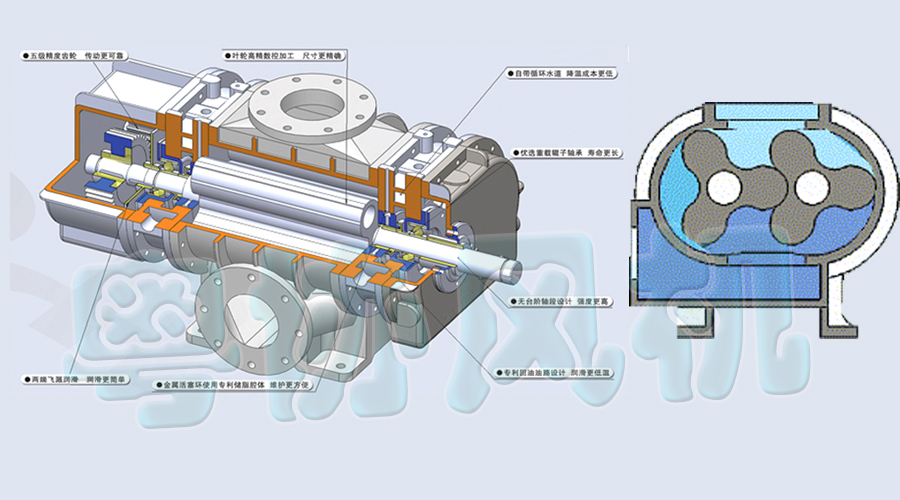 1486710819959522.jpg 1.jpg